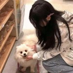 三国志战纪手游官方版下载